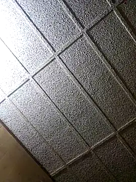 zaneporter46 online show from 8, 2, 2025