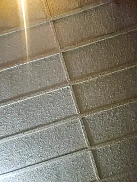 zaneporter46 online show from 8, 2, 2025