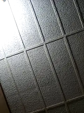 zaneporter46 online show from 8, 2, 2025