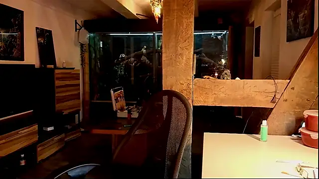 Snapshot of DYasmin69 chatting on 1, 11, 2025 DYasmin69 online show from 1, 11, 2025