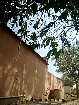 carria homes online show from 14, 3, 2025