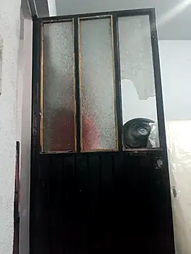 chinoxxx online show from 26, 4, 2026