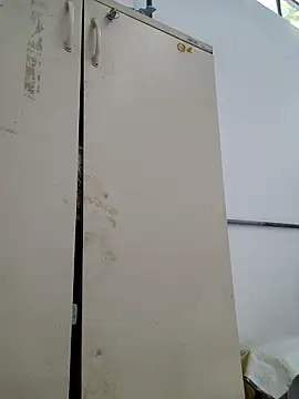 tesaodaweb online show from 21, 2, 2026