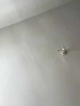 lunagonzales lima 2007 online show from 21, 2, 2025