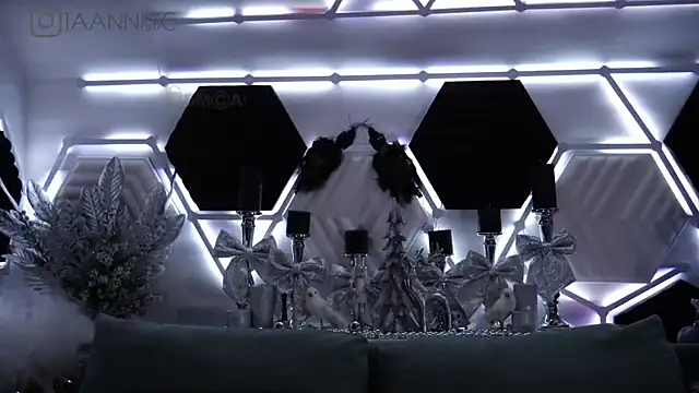 taanni bc online show from 23, 1, 2025