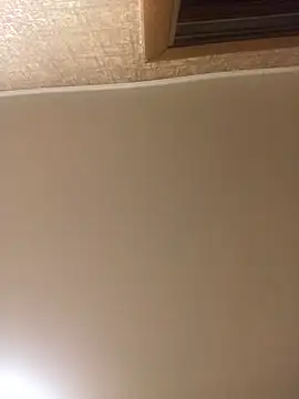 Prolisok473 online show from 30, 1, 2025