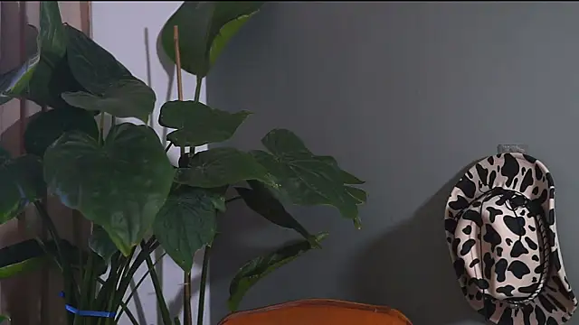 Snapshot of HairyRobxxx chatting on 20, 9, 2025 HairyRobxxx online show from 20, 9, 2025