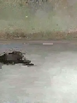 Snapshot of teluguu-rajj chatting on 27, 10, 2025 teluguu-rajj online show from 27, 10, 2025