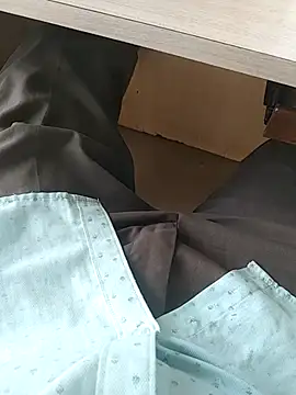 Snapshot of teluguu-rajj chatting on 27, 11, 2025 teluguu-rajj online show from 27, 11, 2025