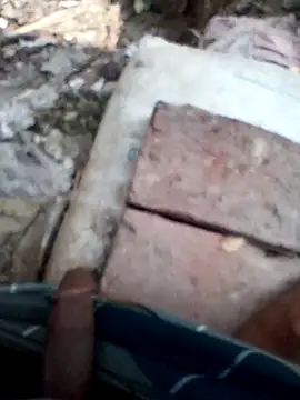 xLoveer online show from 8, 3, 2026