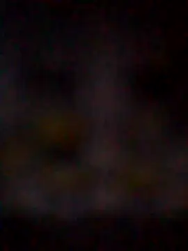 missAmanda69 online show from 29, 7, 2026