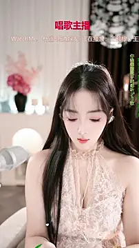 Snapshot of WenBao-Bao chatting on 4, 12, 2025 WenBao-Bao online show from 4, 12, 2025