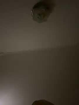                     88 online show from 7, 3, 2026