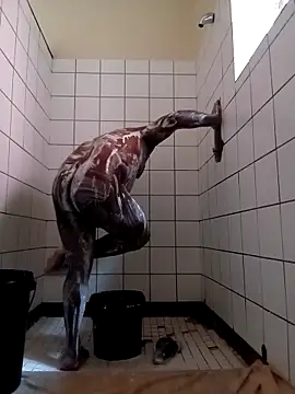 Dube501 online show from 26, 4, 2026