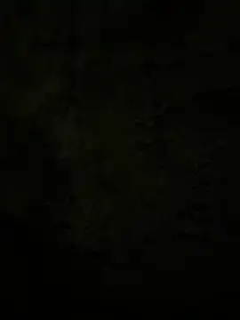 Snapshot of Lilymoonshow chatting on 17, 2, 2025 Lilymoonshow online show from 17, 2, 2025