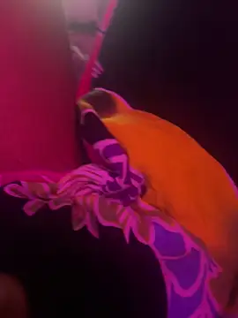 Snapshot of Lilymoonshow chatting on 17, 3, 2025 Lilymoonshow online show from 17, 3, 2025