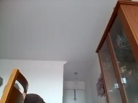 Munnoki online show from 17, 1, 2026