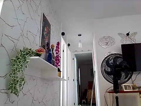 Munnoki online show from 4, 3, 2026