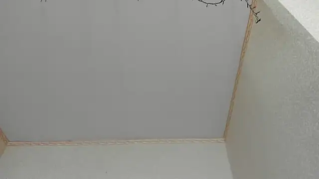 Browni Kiss online show from 16, 1, 2025