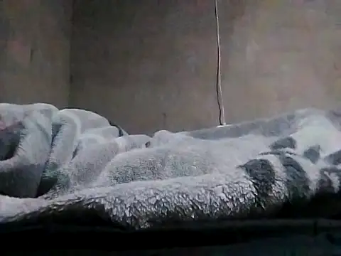 LaneYam online show from 24, 3, 2026