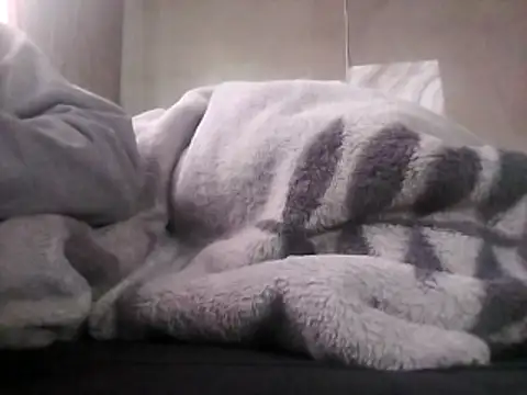 LaneYam online show from 24, 4, 2026