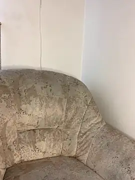 AssHunter4k online show from 20, 3, 2025