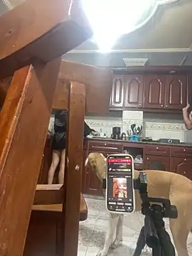 Lili  taylor online show from 29, 4, 2026