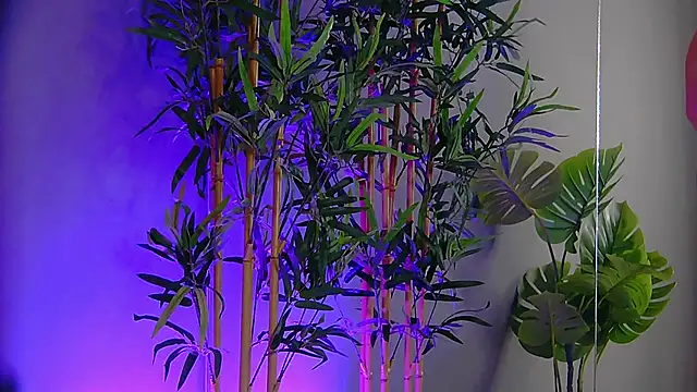 PatriciaSpice online show from 9, 11, 2025