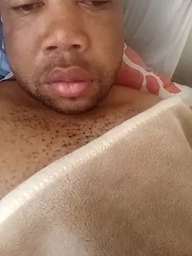 papilo20 online show from 7, 10, 2025