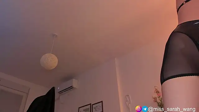 Snapshot of sarah_wang chatting on 30, 6, 2026 sarah wang online show from 30, 6, 2026