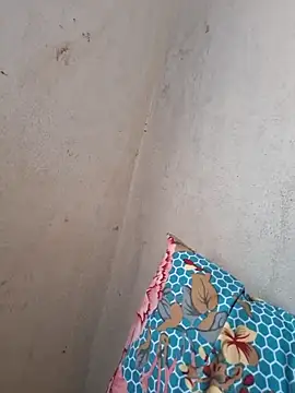 Snapshot of novinhatransexy chatting on 19, 11, 2025 novinhatransexy online show from 19, 11, 2025