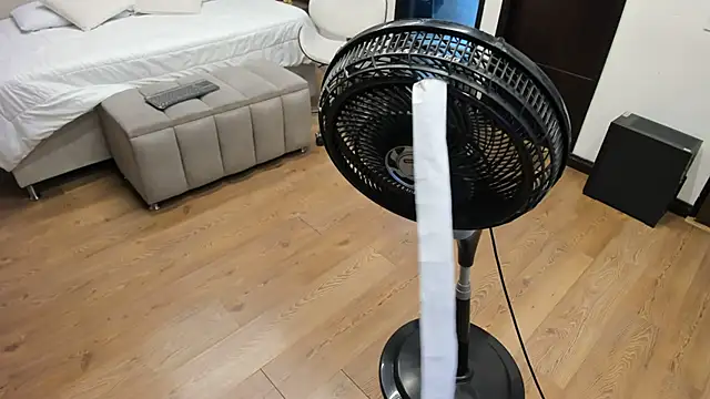 Mara Torres1 online show from 5, 3, 2025