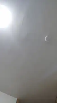 ruby  00 online show from 8, 3, 2025