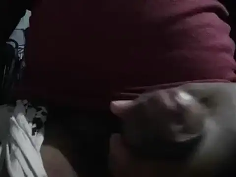 lolboy1234Z online show from 23, 1, 2025