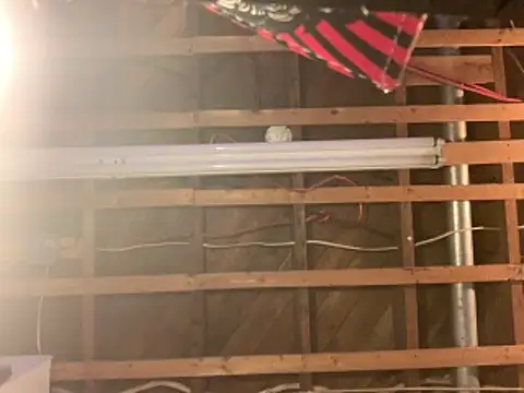 Pilote19 online show from 23, 4, 2026