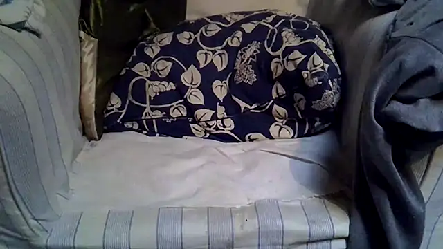 Damn bro23 online show from 24, 11, 2025