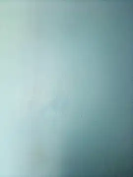 Snapshot of randit7 chatting on 1, 3, 2025 randit7 online show from 1, 3, 2025