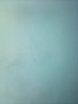 Snapshot of randit7 chatting on 12, 3, 2025 randit7 online show from 12, 3, 2025