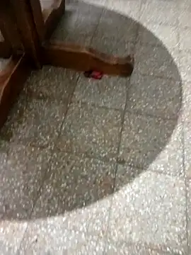 Snapshot of parejarica420 chatting on 6, 3, 2026 parejarica420 online show from 6, 3, 2026