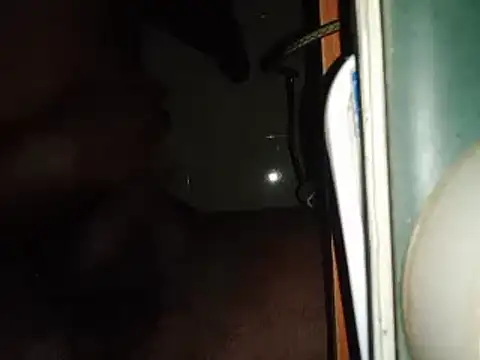 world bigdick1 online show from 14, 2, 2025