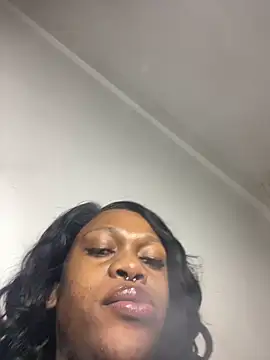 Boneca25 online show from 25, 4, 2026