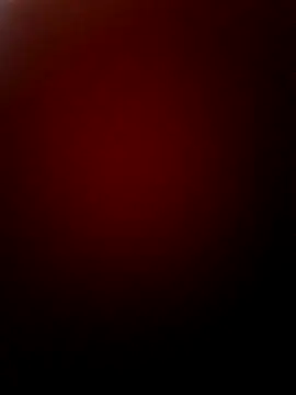 ruivotop online show from 6, 3, 2025