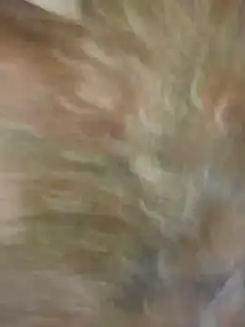 Santiago-Thompson online show from 26, 1, 2025