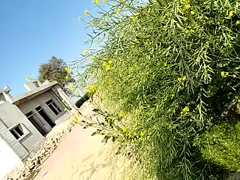 xmanrawan2 online show from 6, 2, 2025