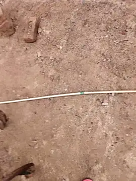 xmanrawan2 online show from 9, 10, 2025