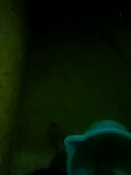 Night View online show from 14, 11, 2025