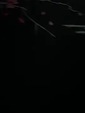 Mo 2003 online show from 28, 1, 2025