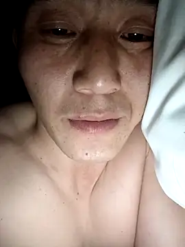 wadmma online show from 31, 10, 2025