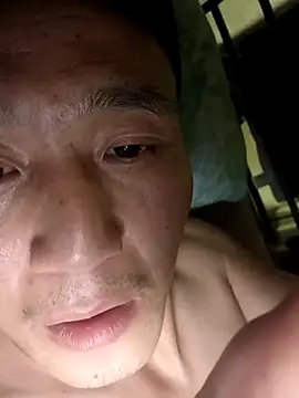 wadmma online show from 4, 11, 2025