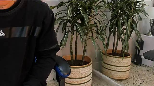 roan birkin online show from 21, 4, 2026